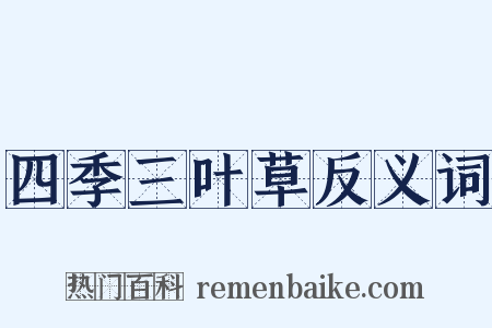 四季三叶草反义词是什么意思的图片